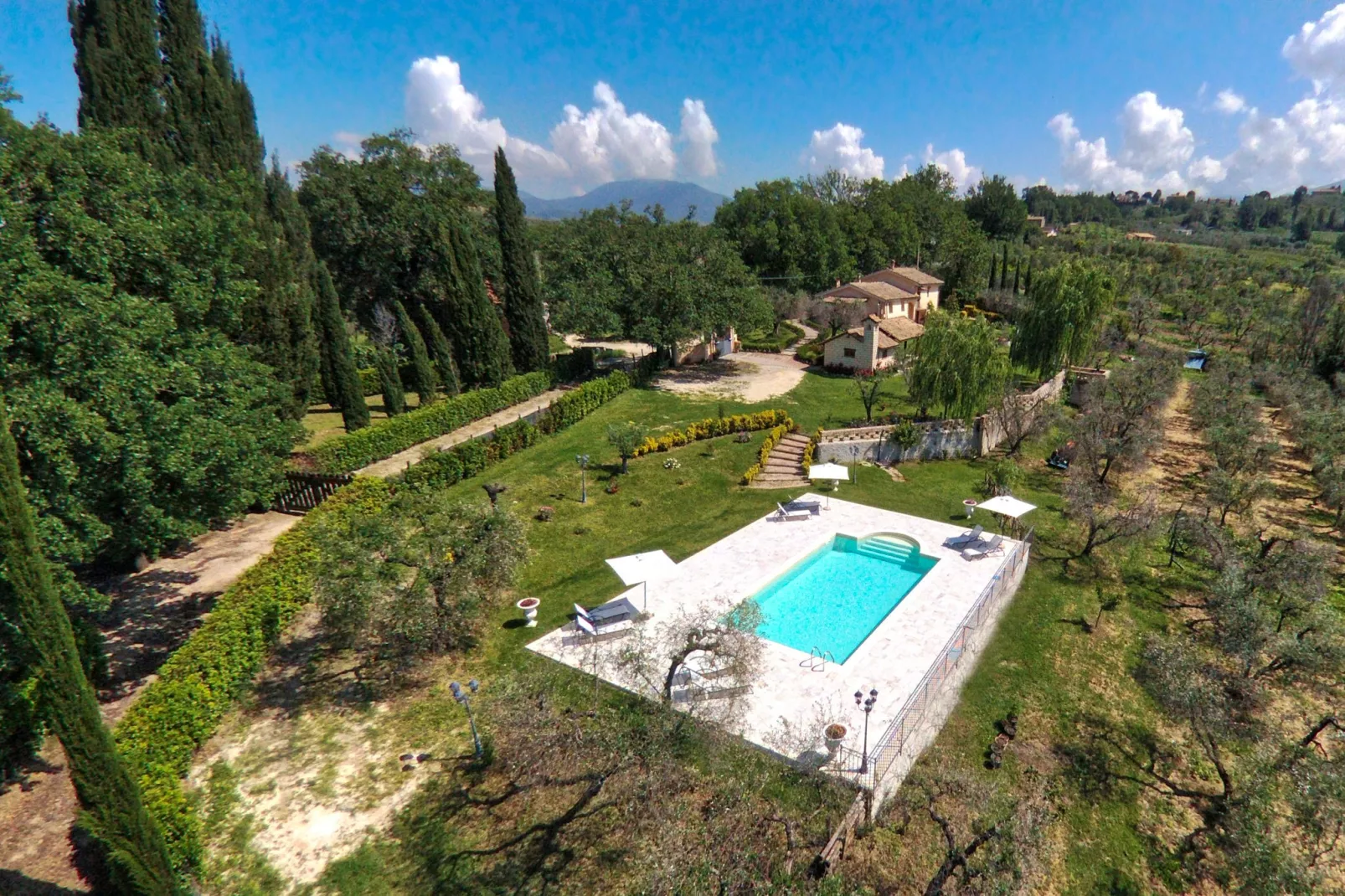 Ulivo-Pool