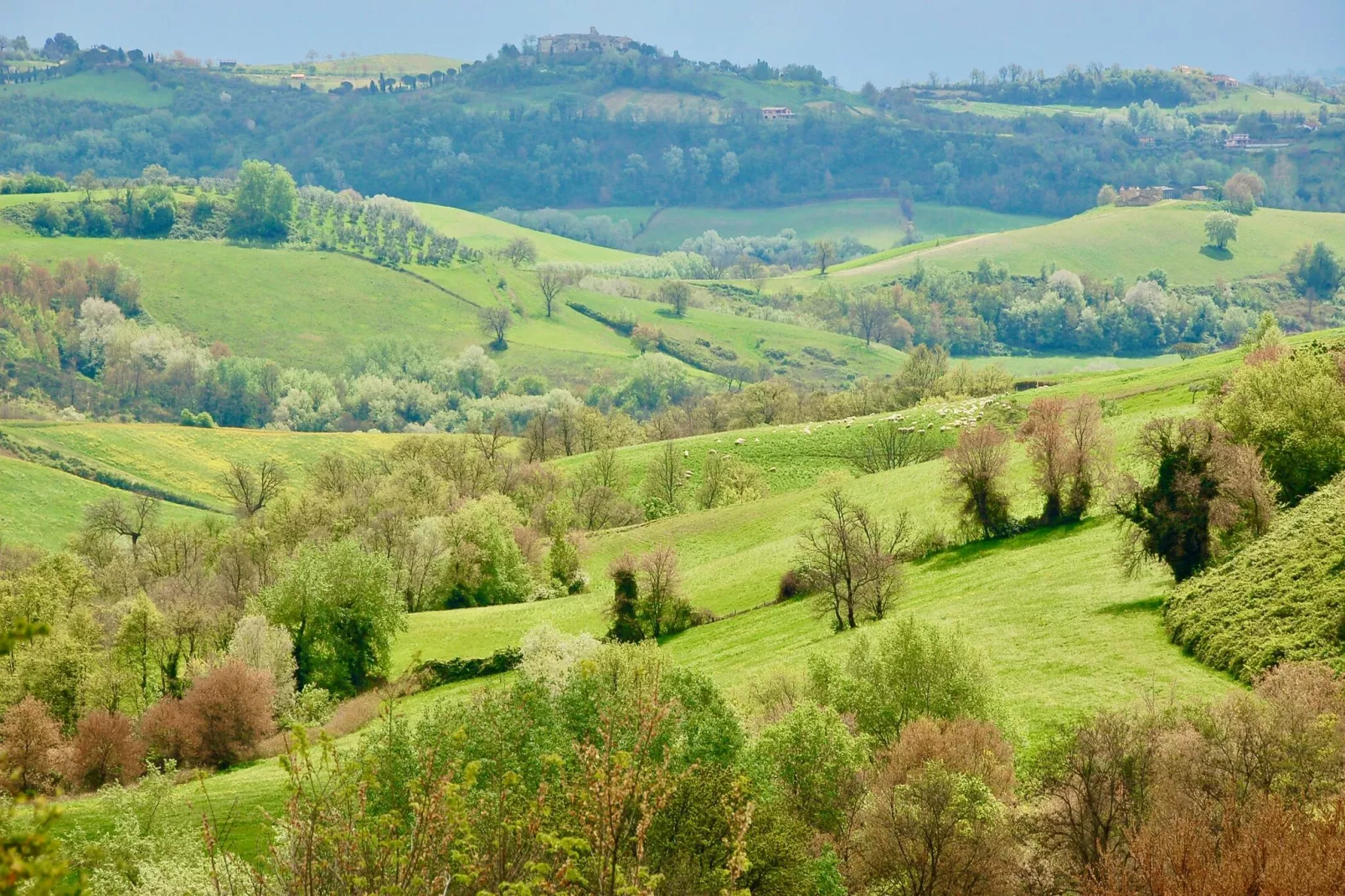 Villa Laurentia-Areas summer 5km