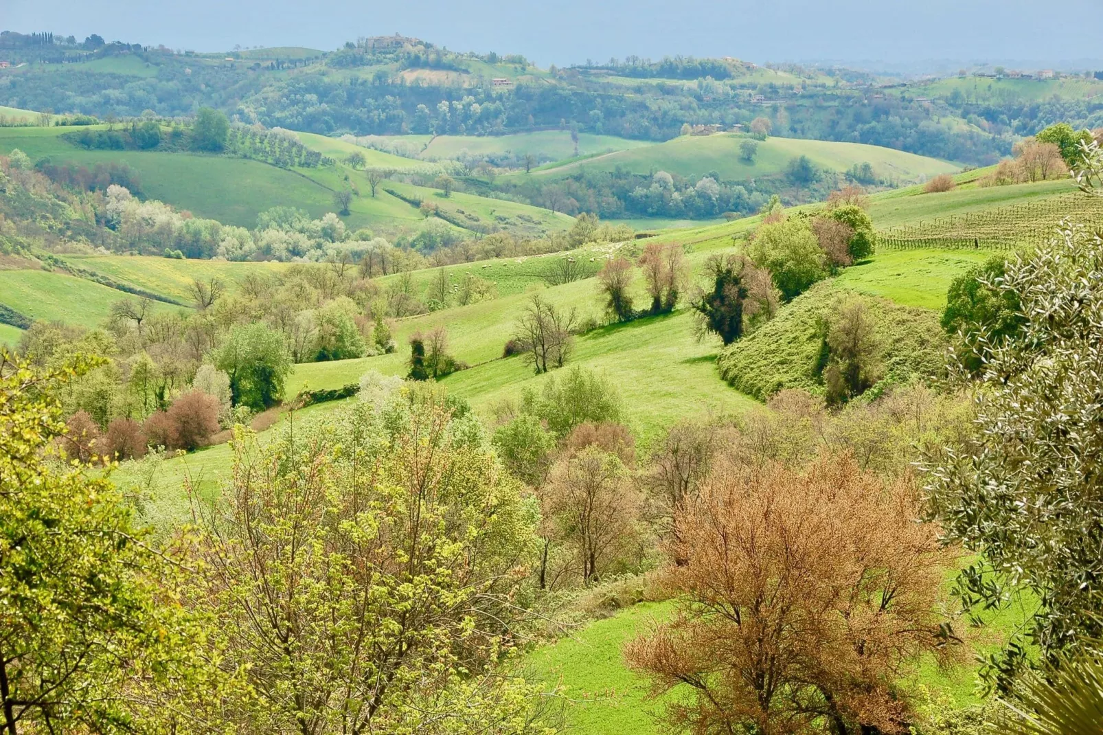 Sabina-Areas summer 5km
