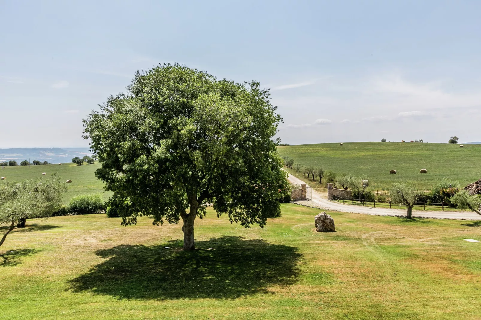 Il Leccio-Gardens summer