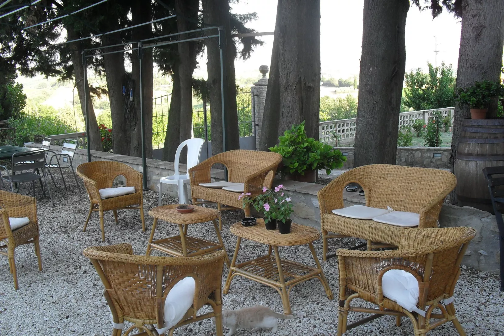 Marchese-Exterior summer