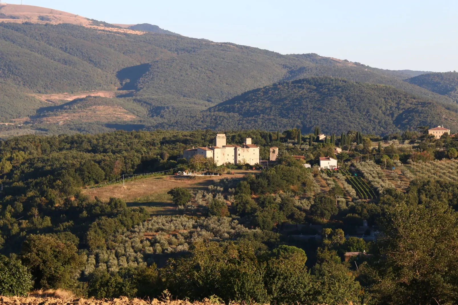 Granaio-Exterior in summer