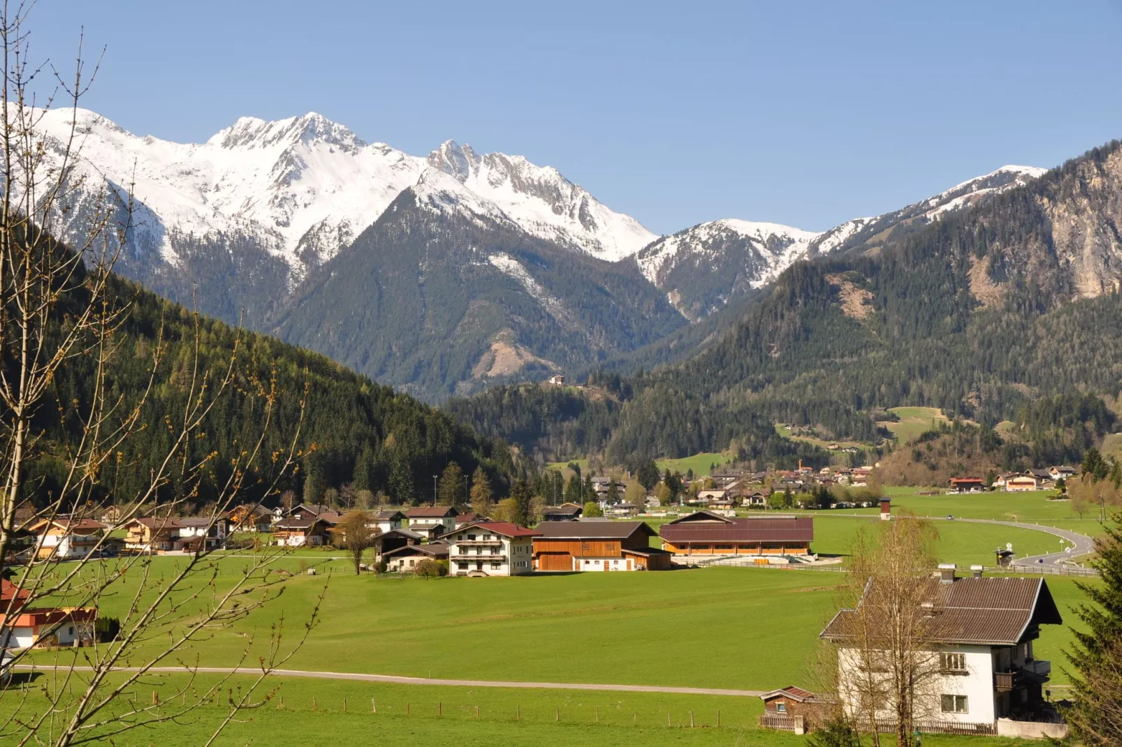 Chalets im Wald-View summer