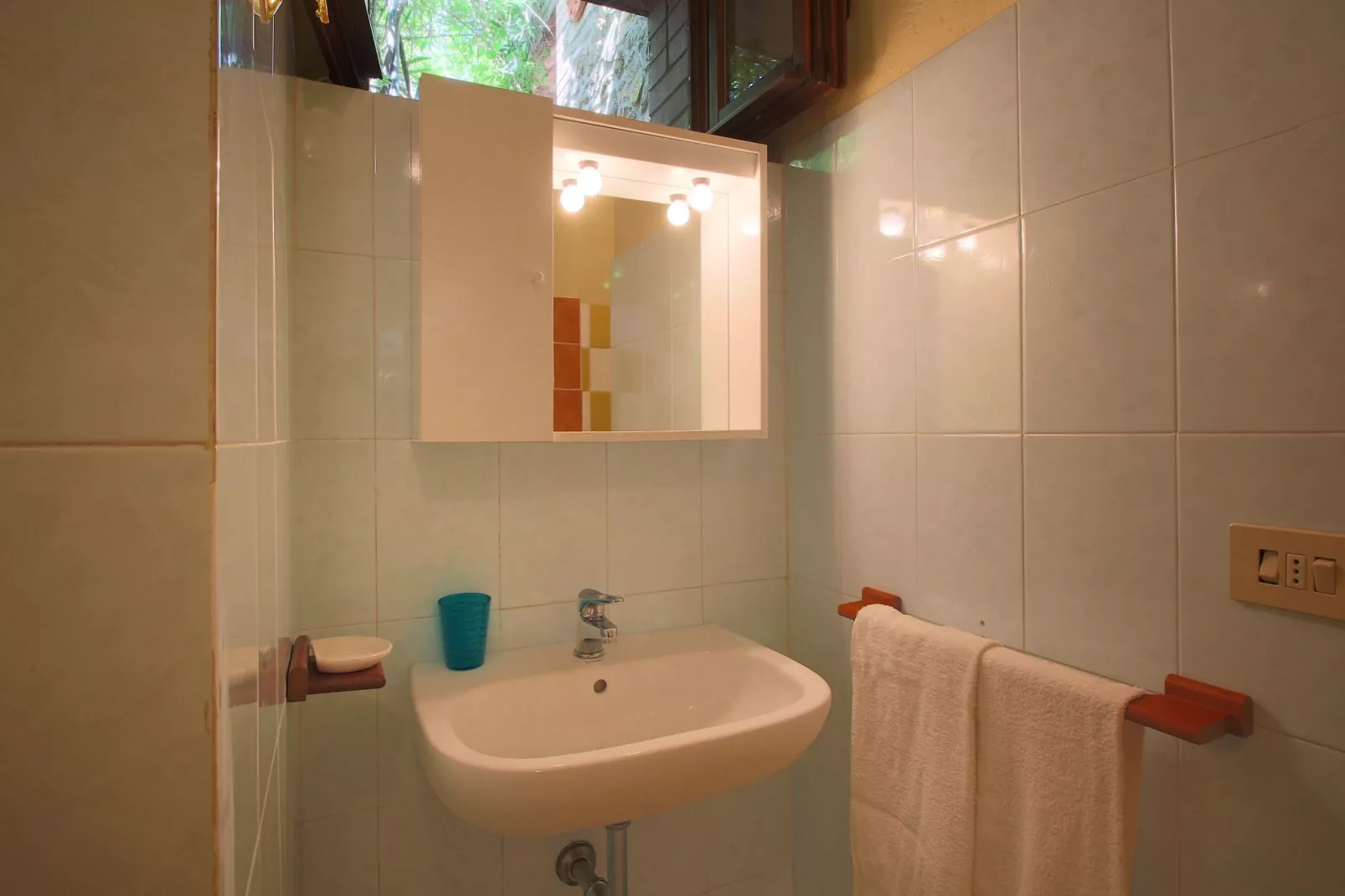 Castellaro-Salle de bain