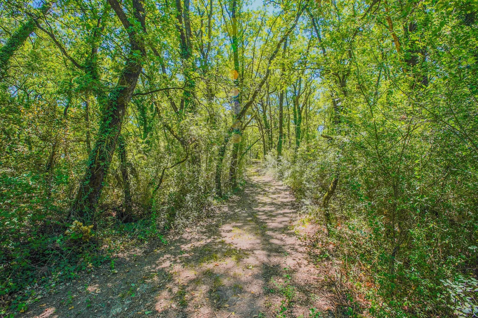 Appartamento la Rana-Areas summer 1km