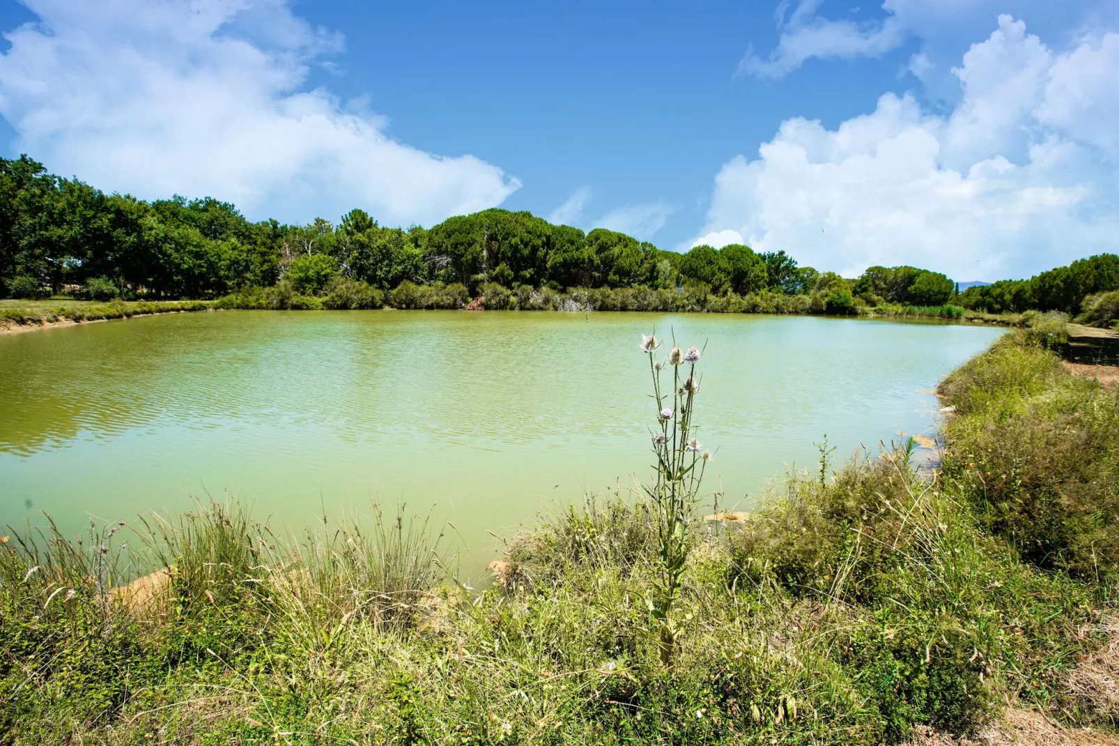 Appartamento la Rana-Areas summer 5km
