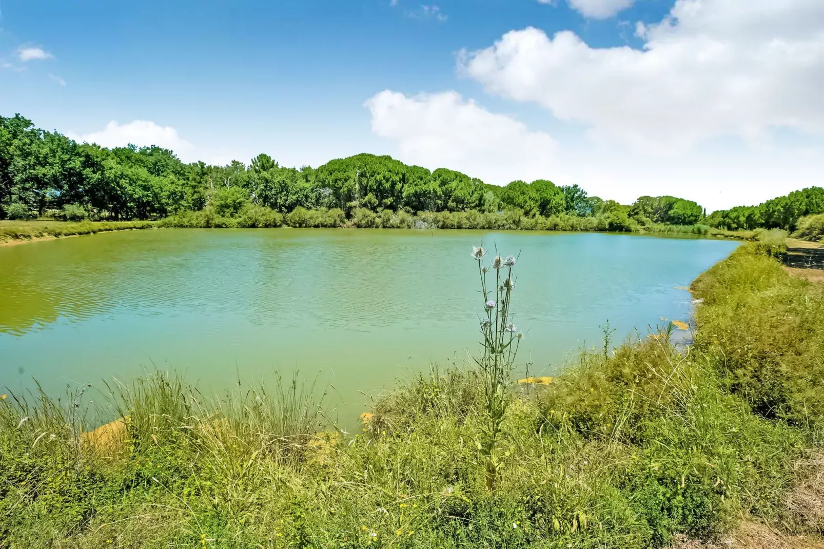 Appartamento il Gufo-Areas summer 5km