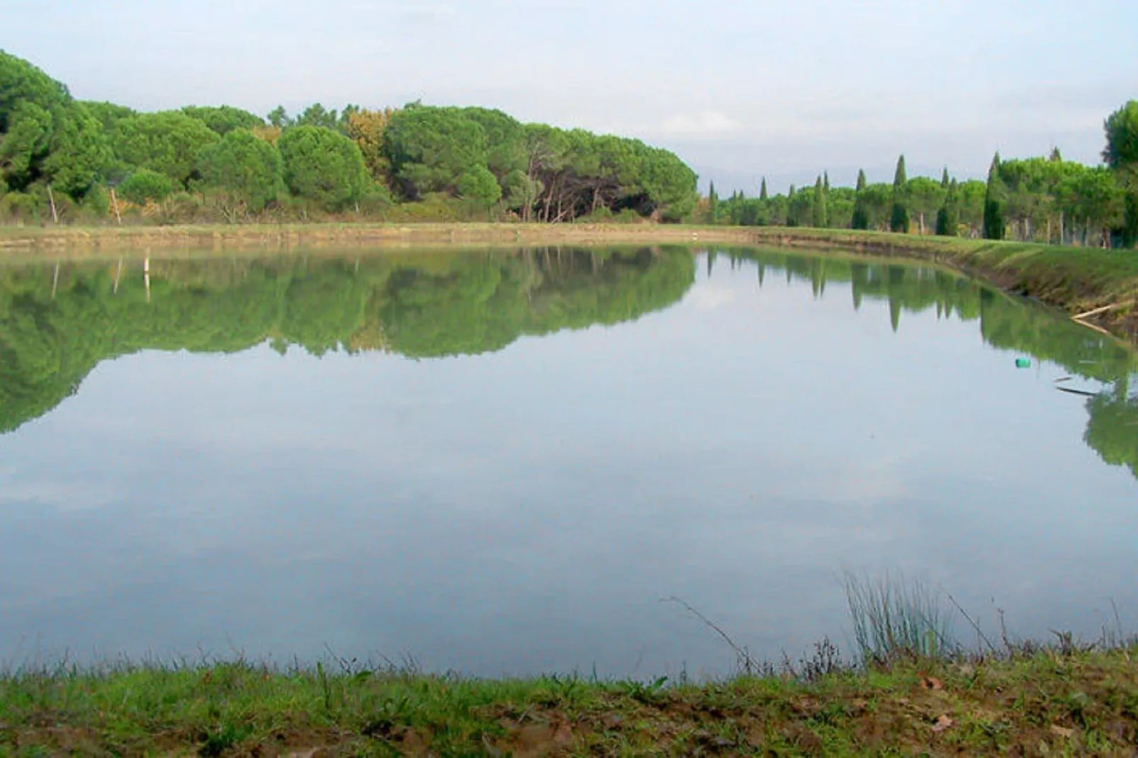 Appartamento lo Scoiattolo-Areas summer 5km