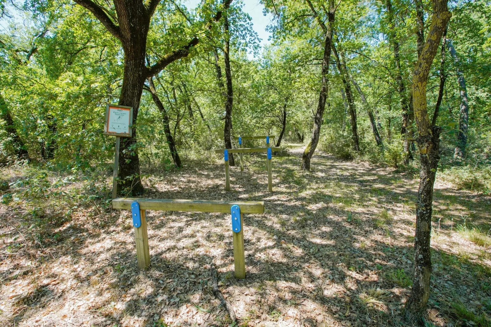 Appartamento lo Scoiattolo-Areas summer 1km