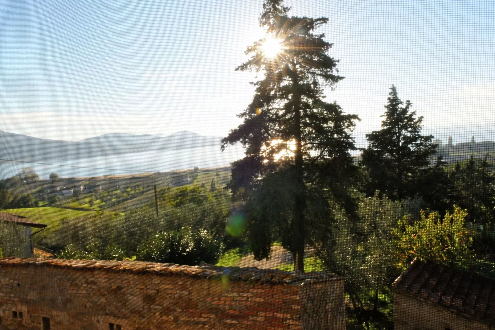 Nespolo Due-View summer