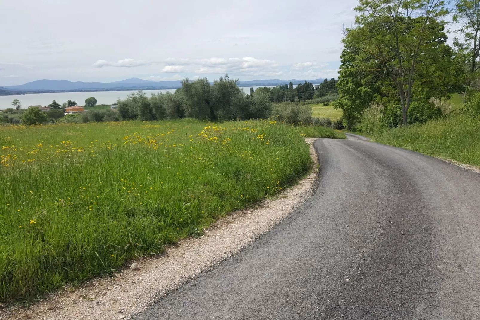 Nespolo Due-Areas summer 1km