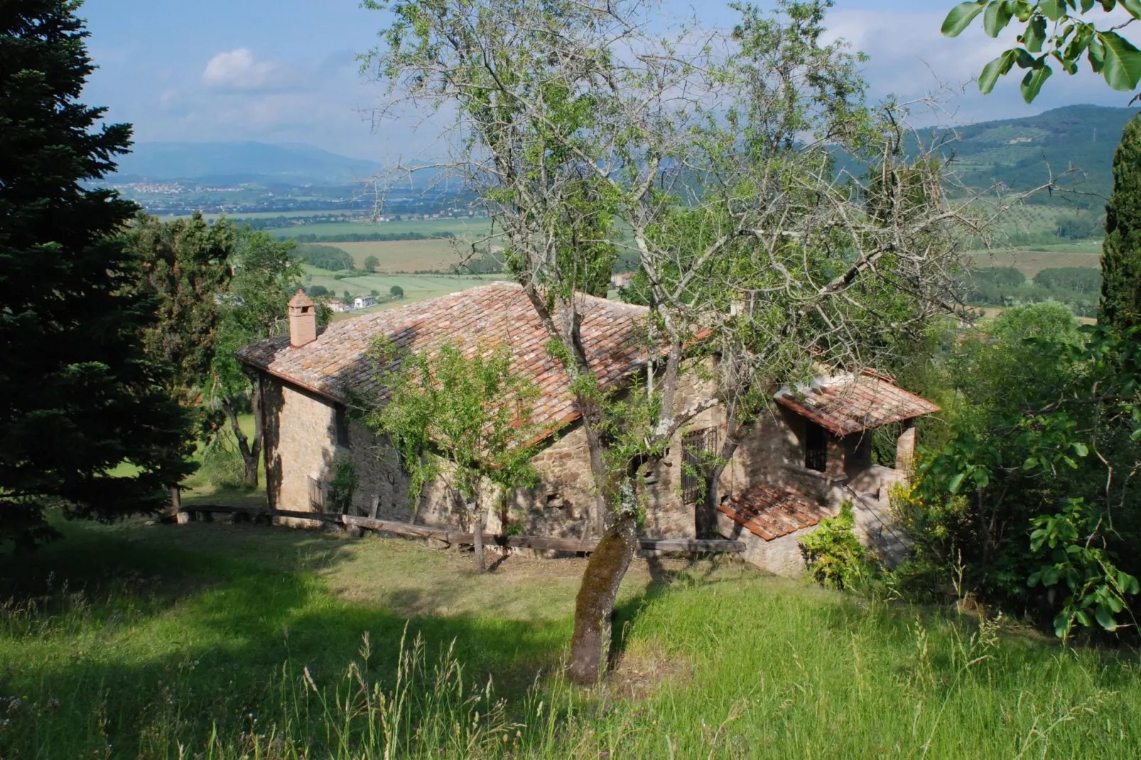Nespolo Uno-Areas summer 1km