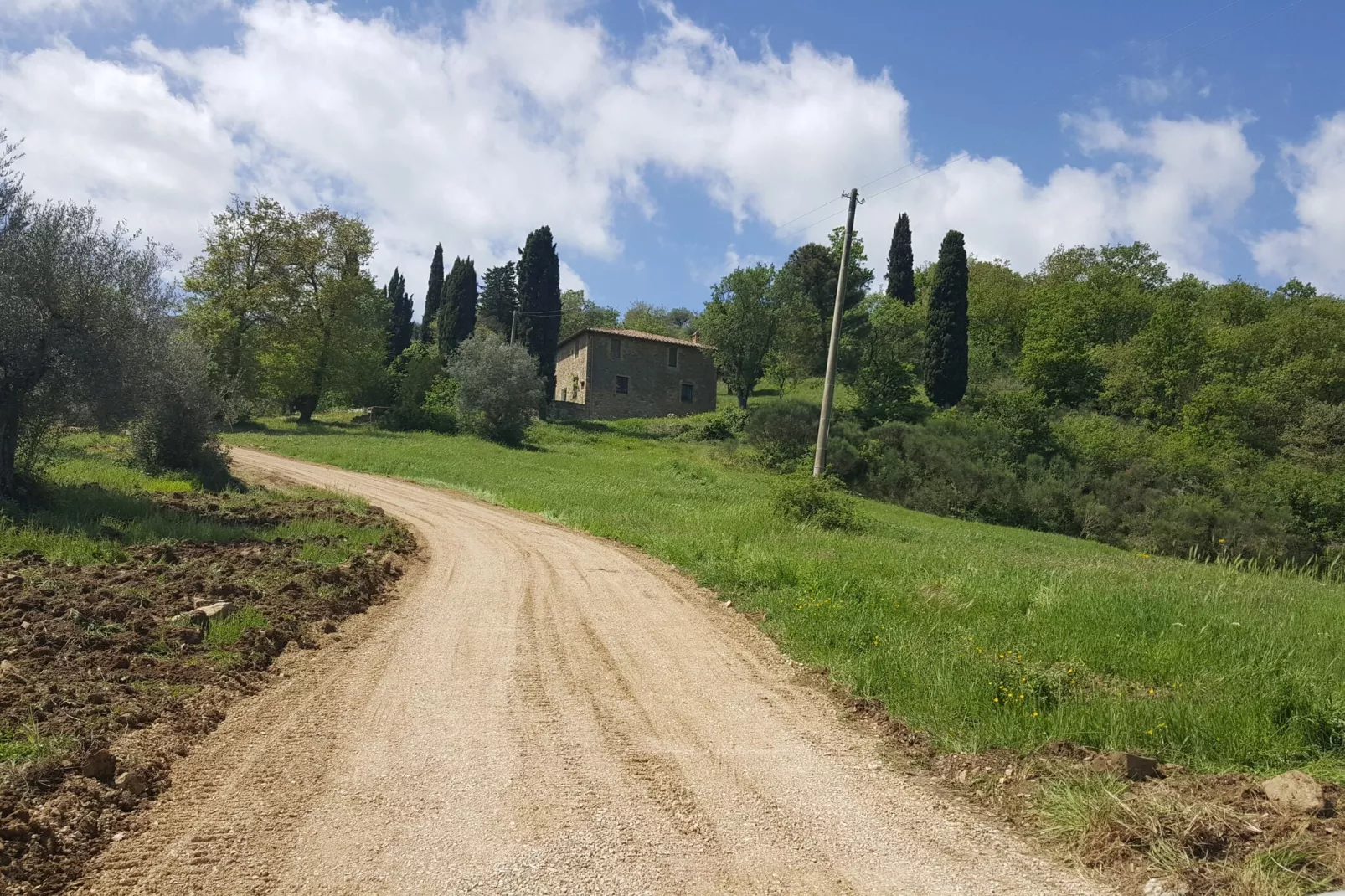 Nespolo Uno-Areas summer 1km