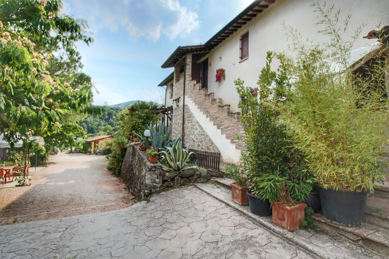 Molinella-Exterior summer