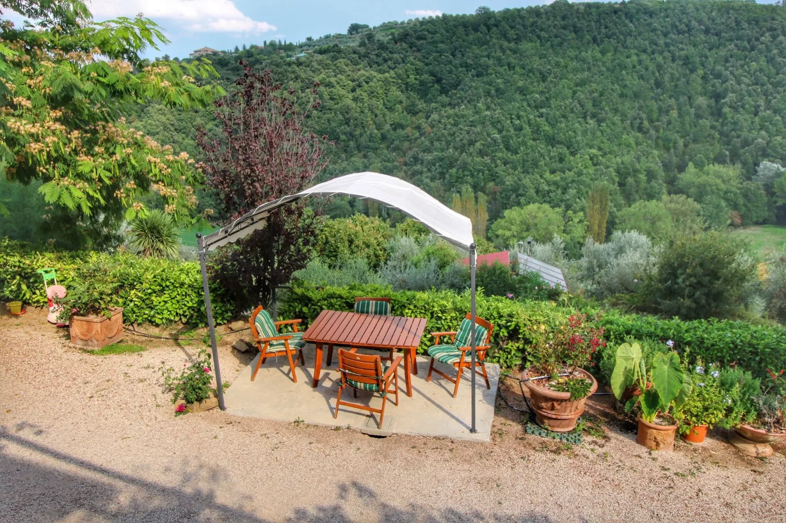 Molinella-View summer