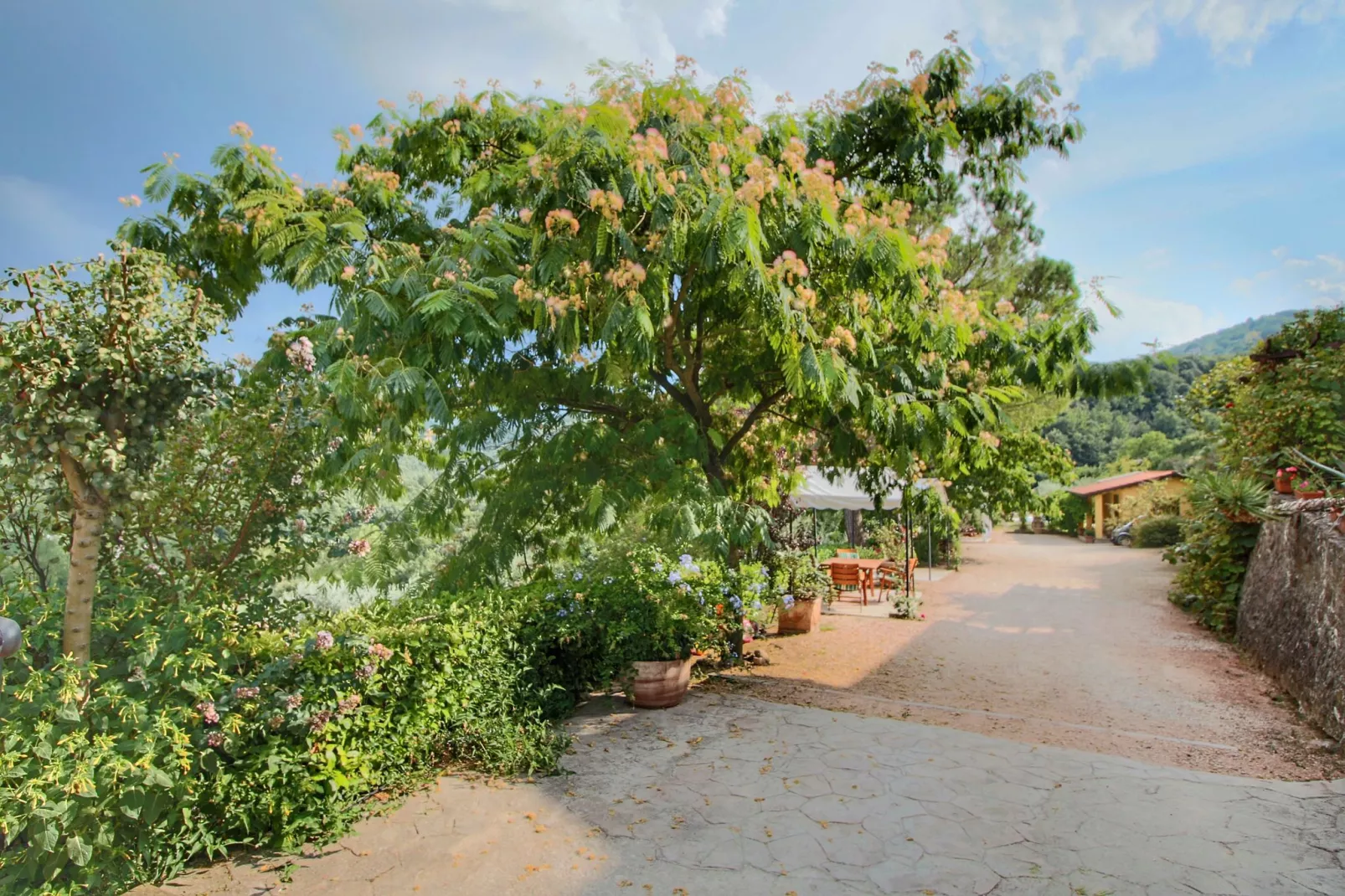 Molinella-Gardens summer