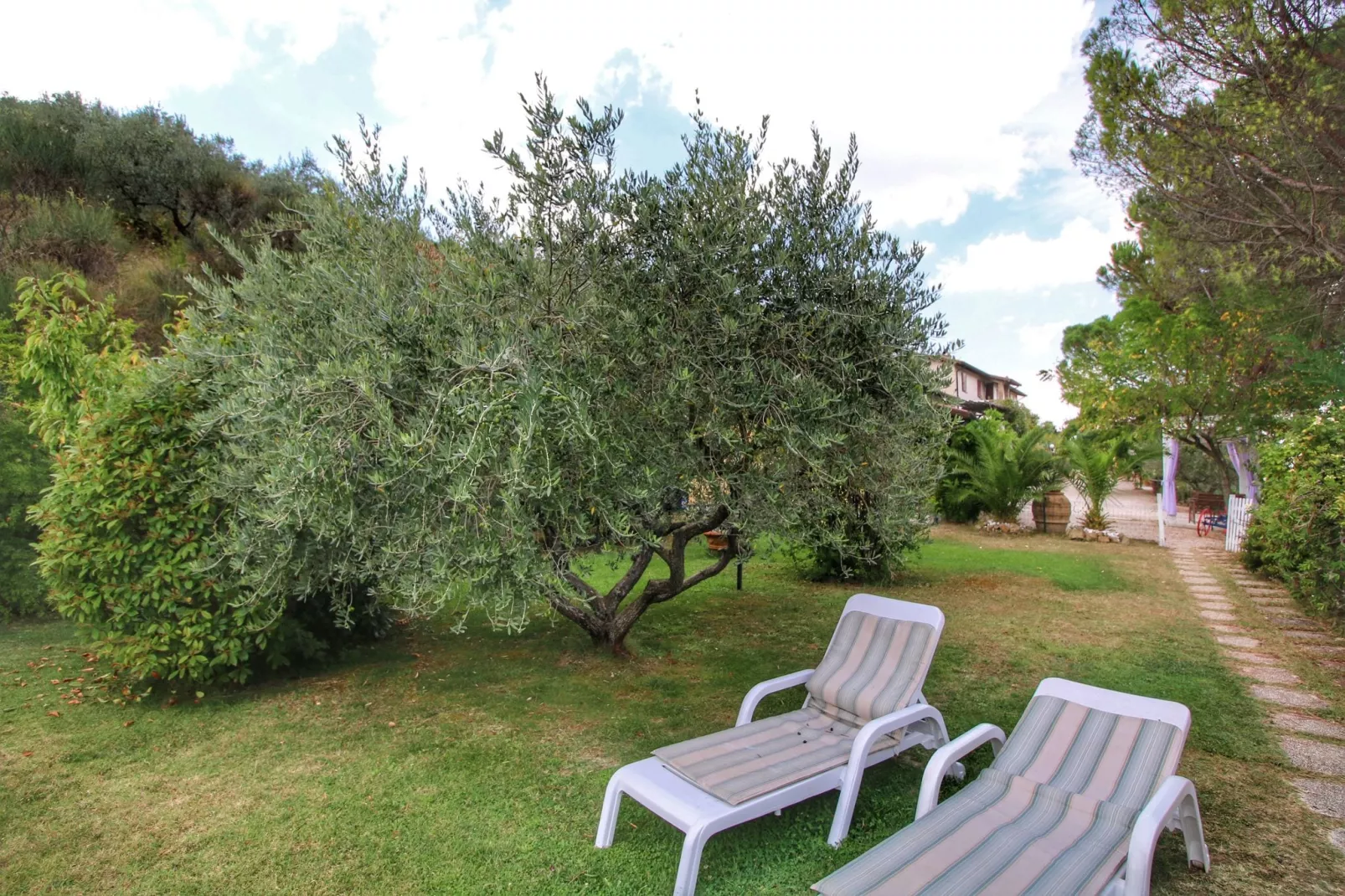 Molinella-Gardens summer