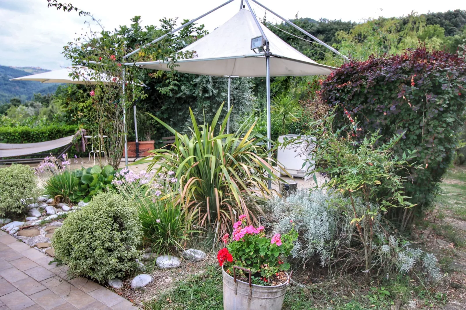 Molinella-Gardens summer