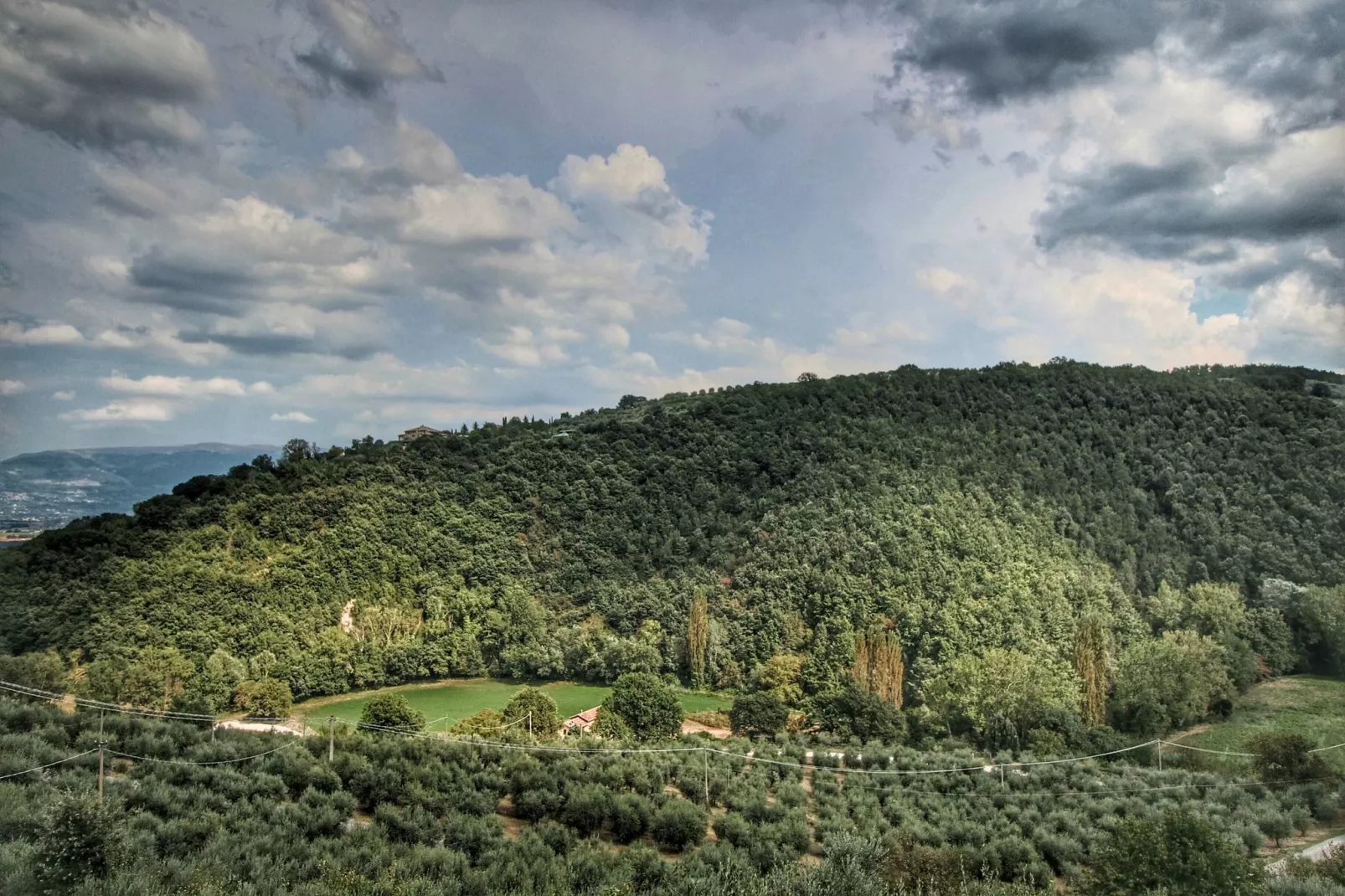 Molinella-Areas summer 1km