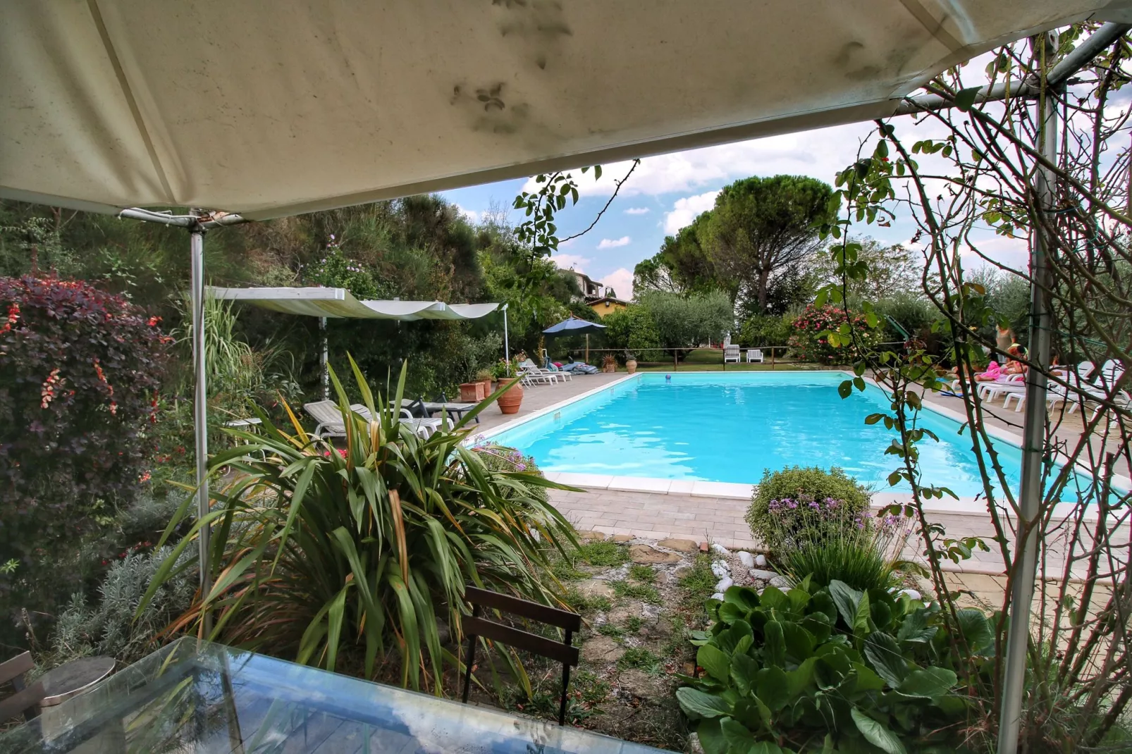 Molinella Otto-Pool