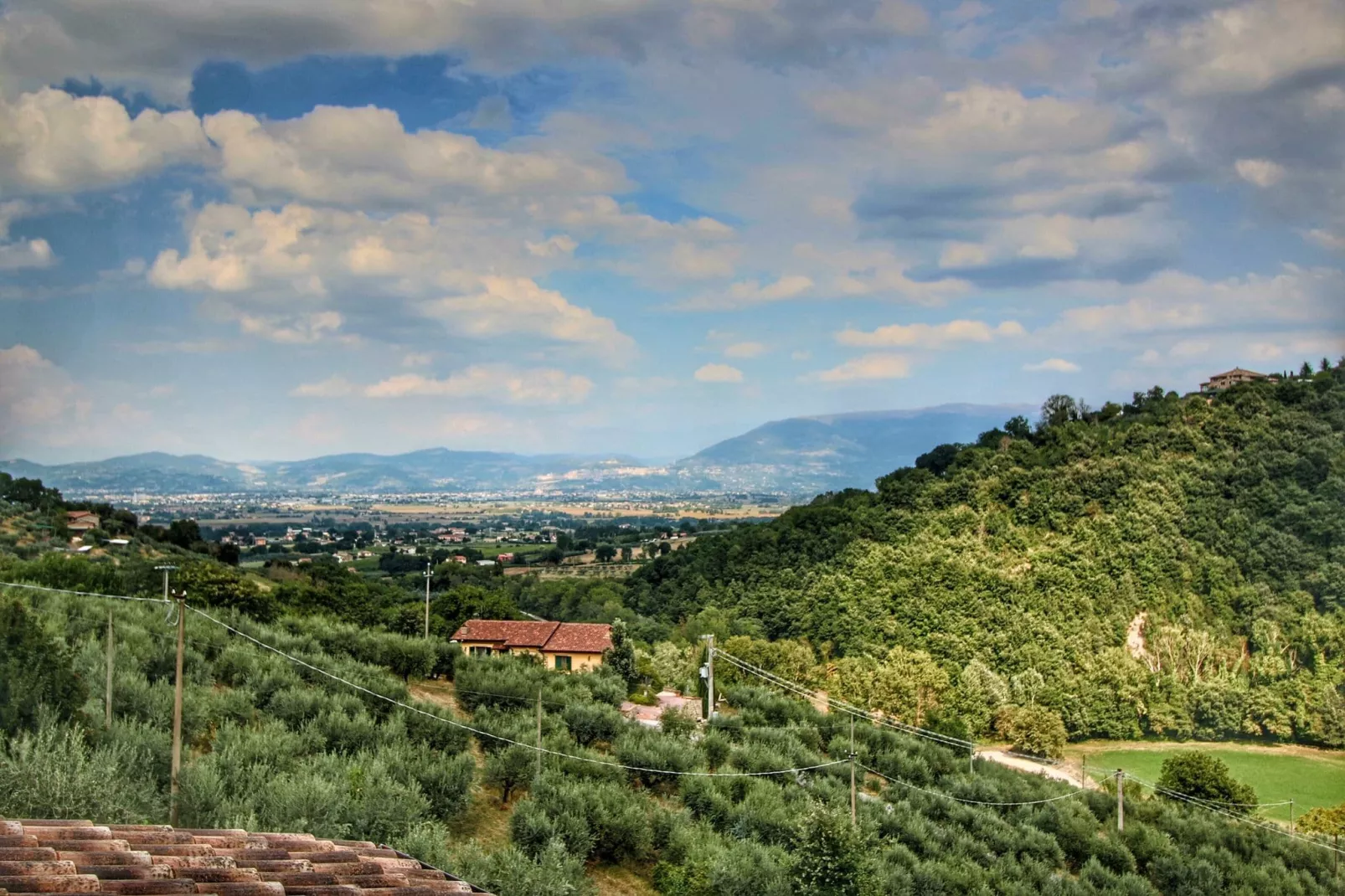 Molinella Otto-Areas summer 1km