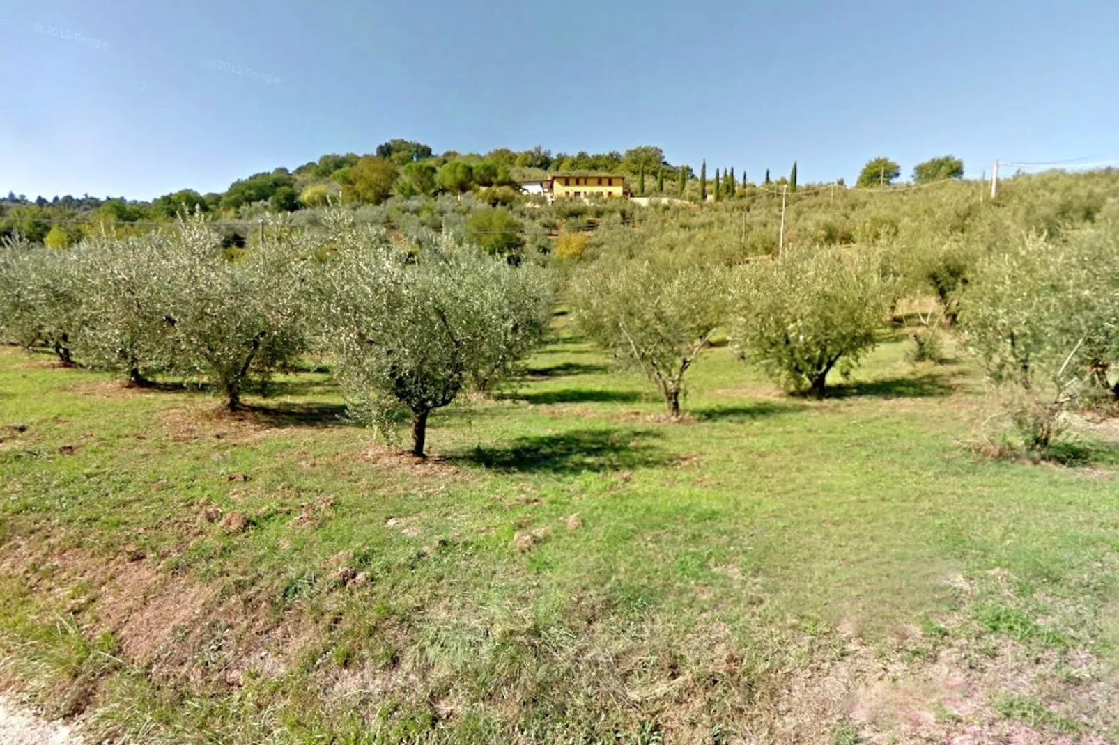 Molinella Otto-Areas summer 1km