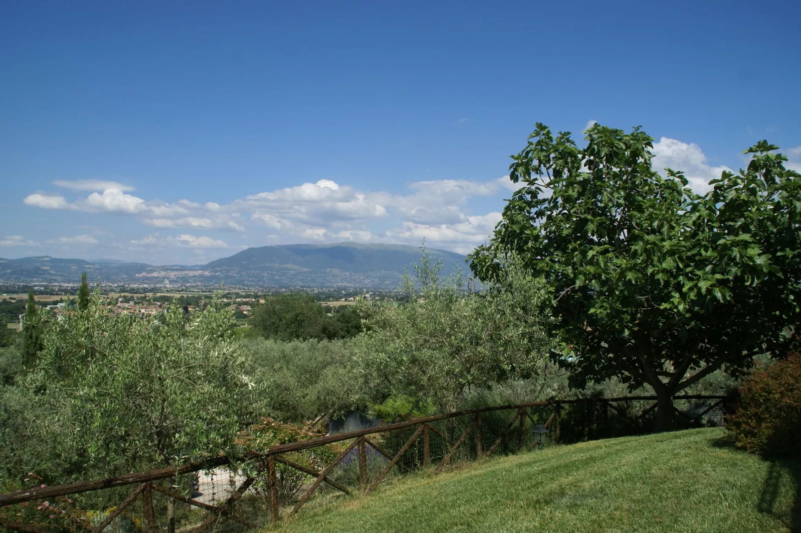 Macina Bettona Frantoio-Gardens summer