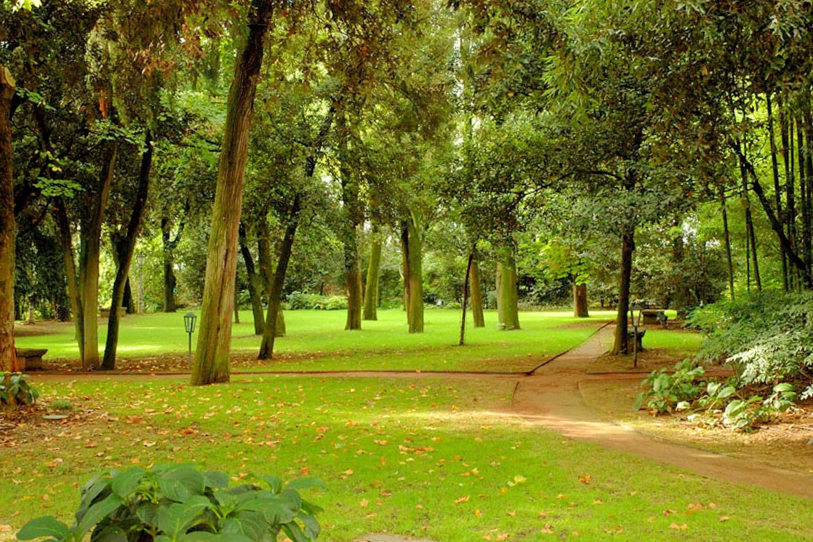 Montecorneo Monolocale-Gardens summer