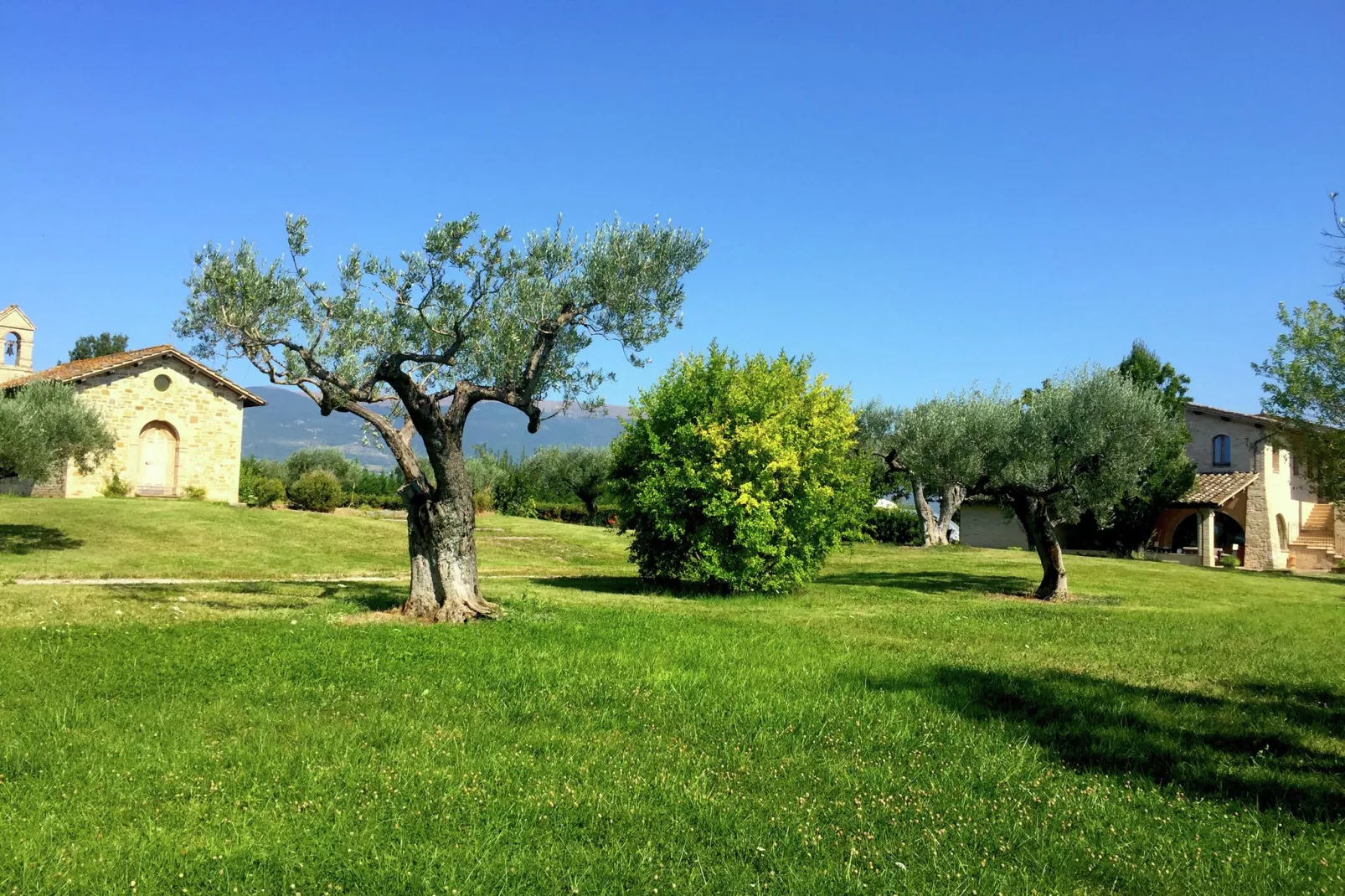 Villa Angeli-Extérieur été