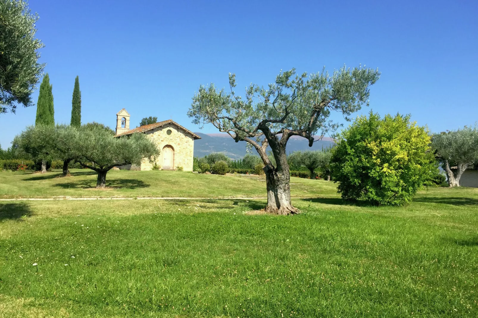 Villa Angeli-Vue d'été