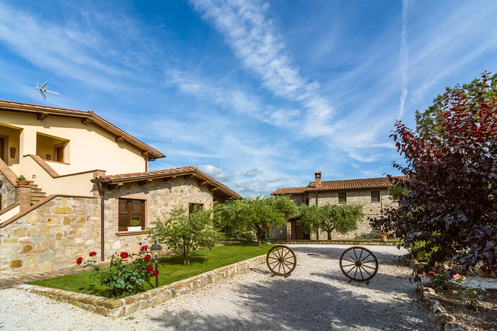 Il Leccio-Gardens in summer