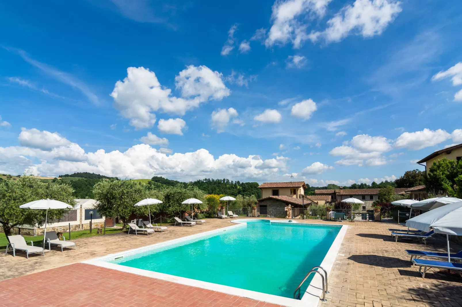 Olivo-Swimming pool