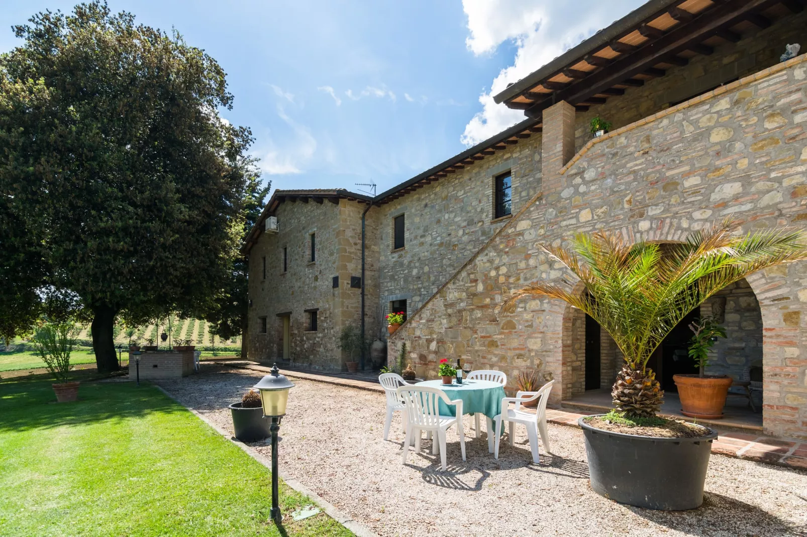 Olivo-Exterior in summer