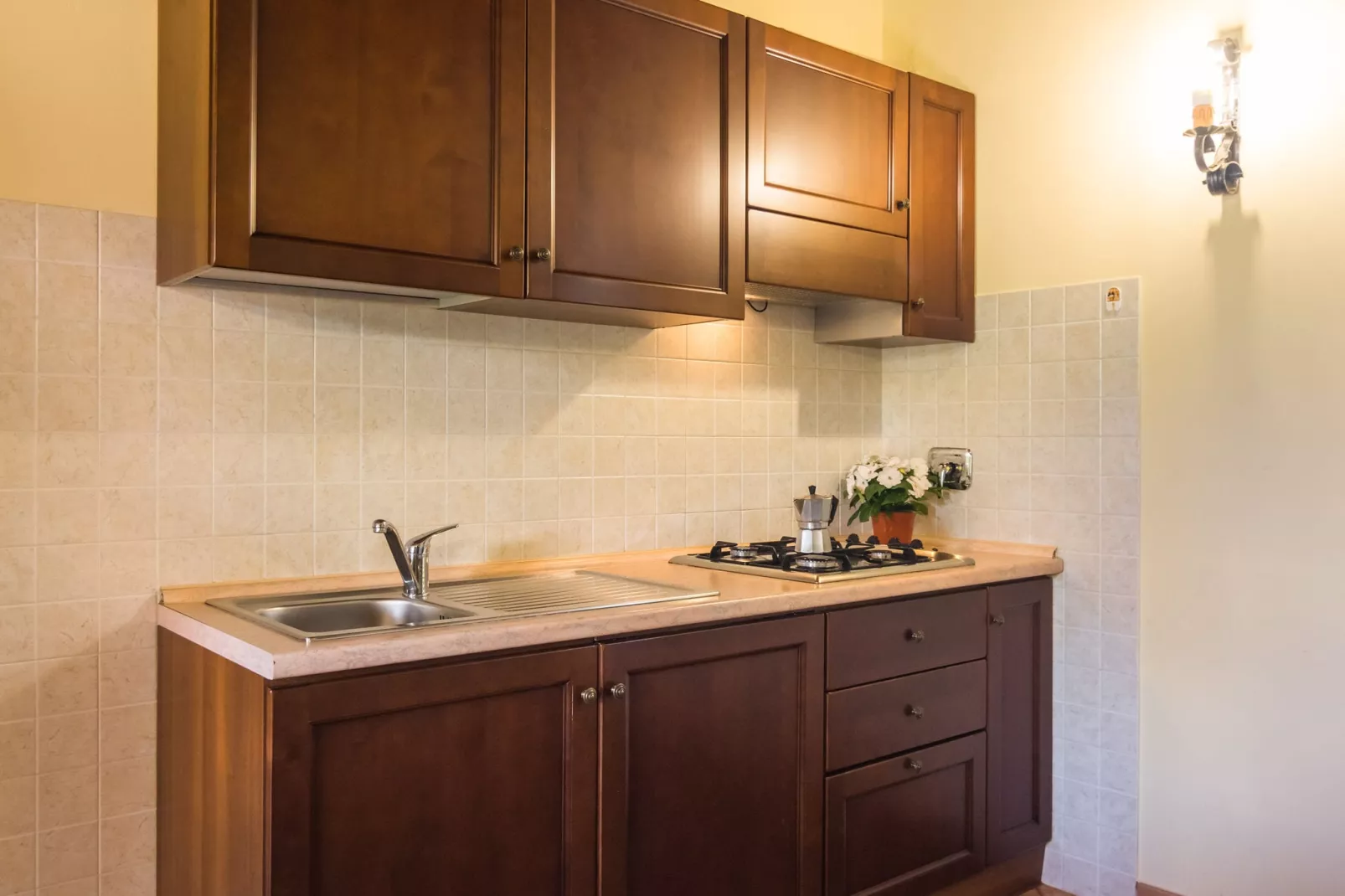 Olivo-Kitchen
