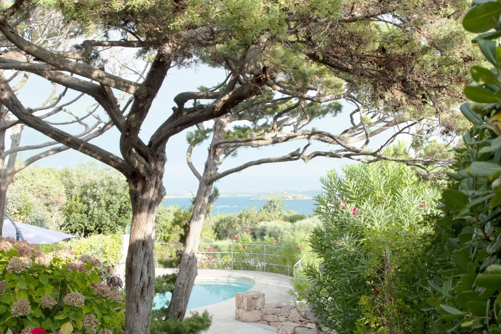 Villa Pitrizzina-Gardens summer
