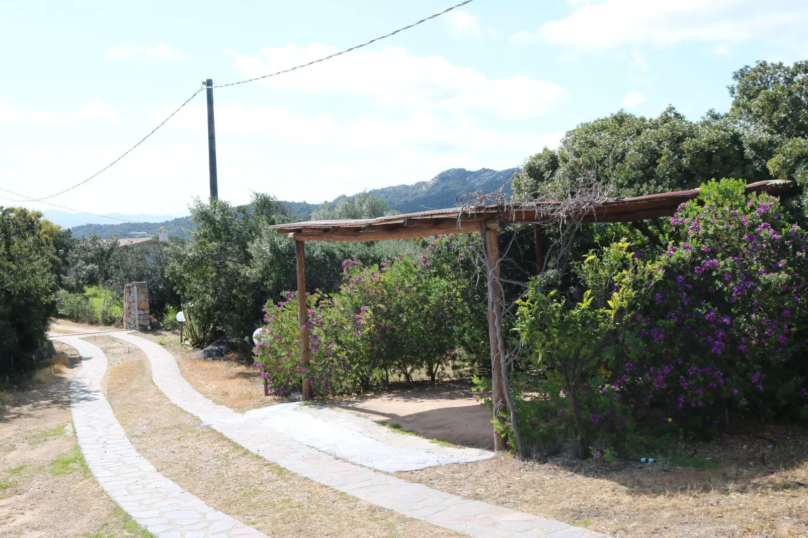 LA LICCIOLA-Areas summer 1km