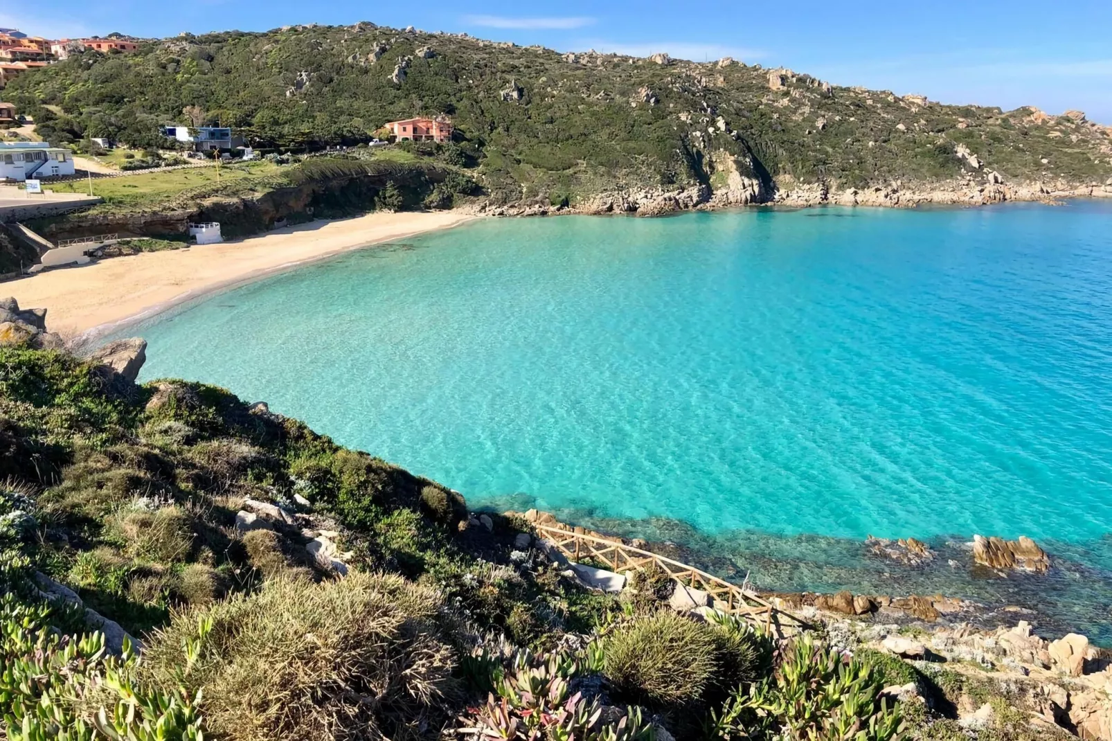 Mirti Bianchi Bilo-Areas summer 5km