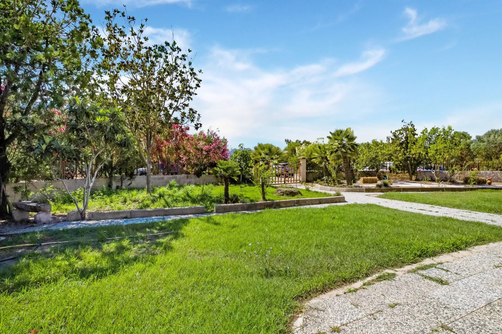 PALMA'S VILLA-Gardens summer