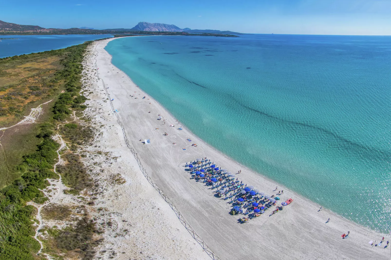Gallura Trilo-Areas summer 1km
