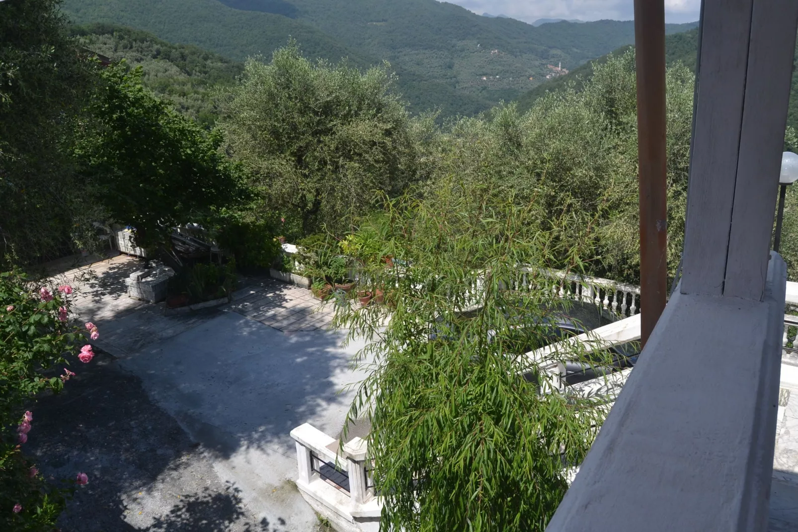 Fiore in testa-Gardens summer