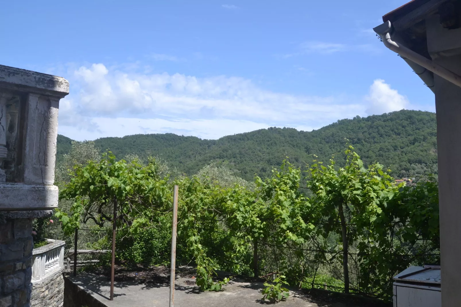 Fiore in testa-Areas summer 1km