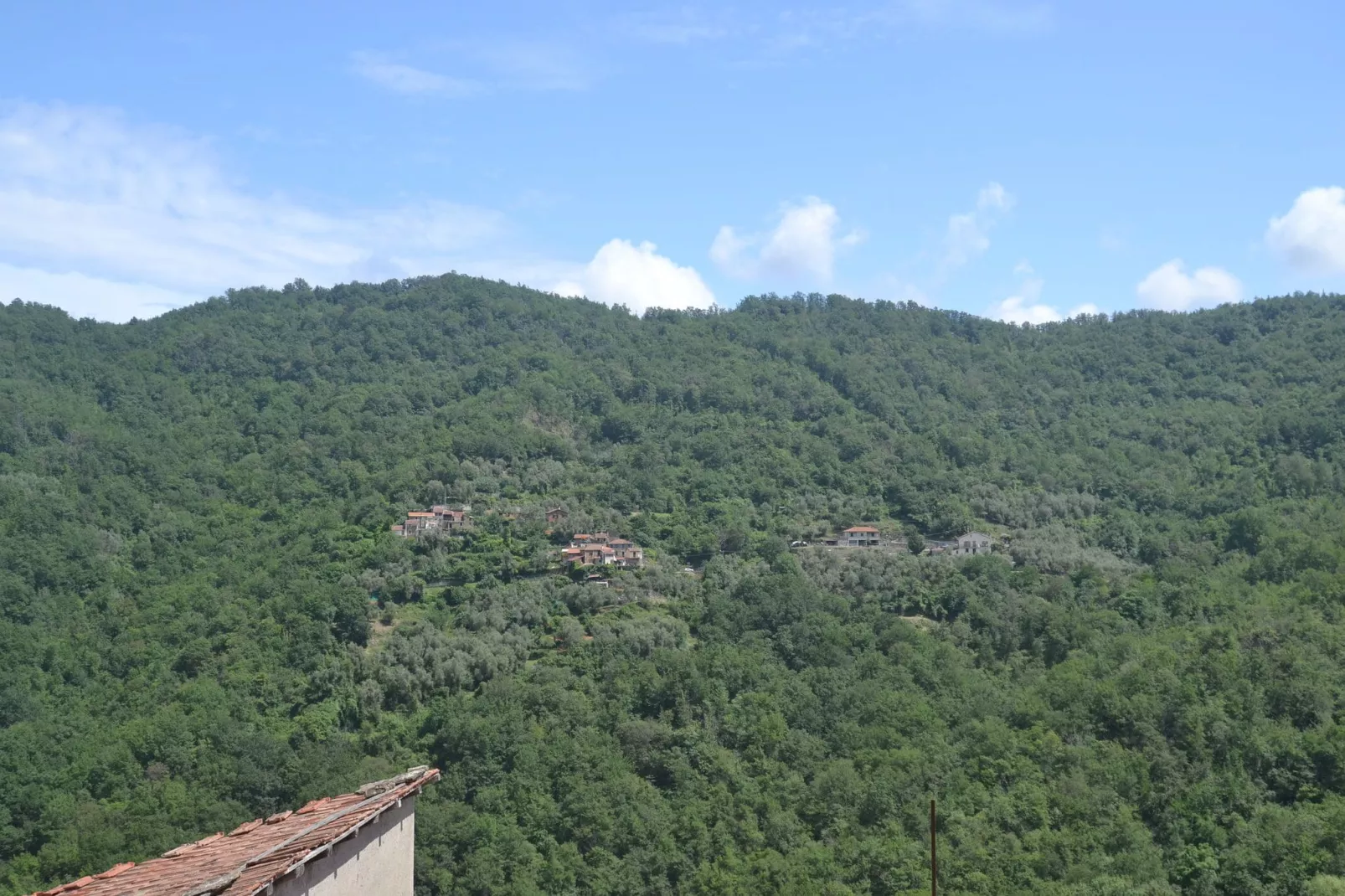 Fiore in testa-Areas summer 5km