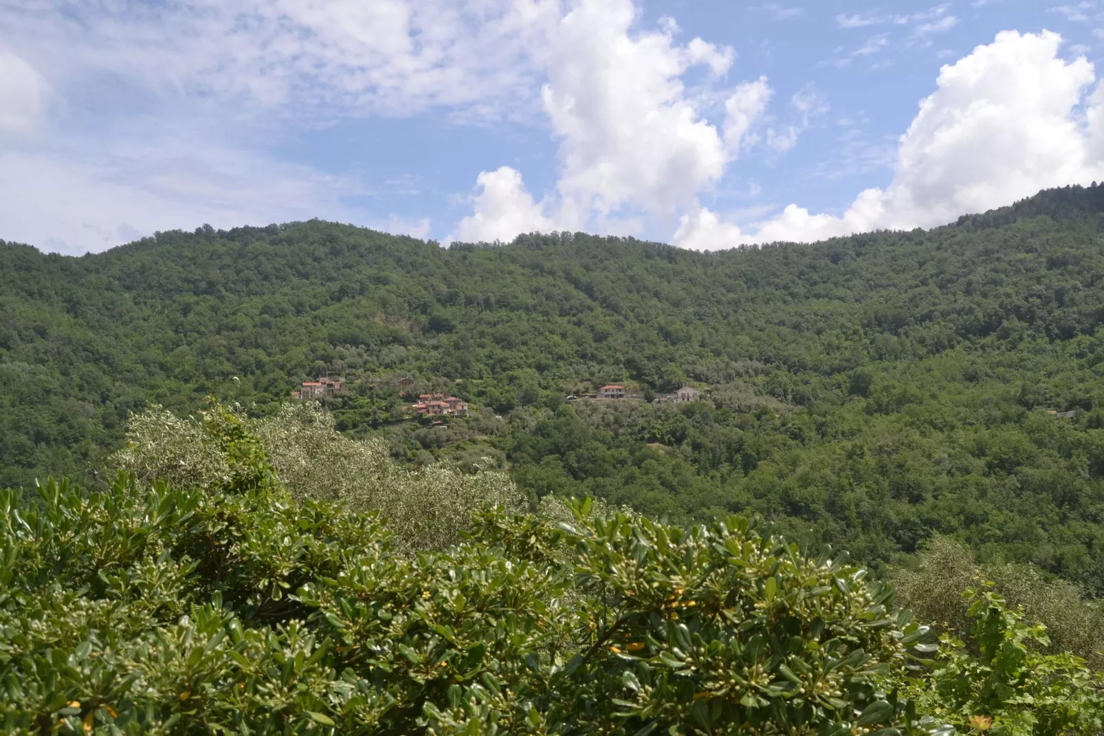 Fiore in testa-Areas summer 20km