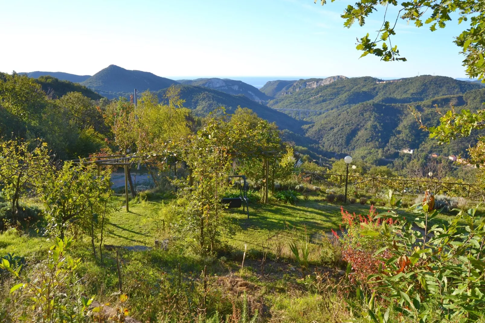 Nidino del Gufo-Exterior summer