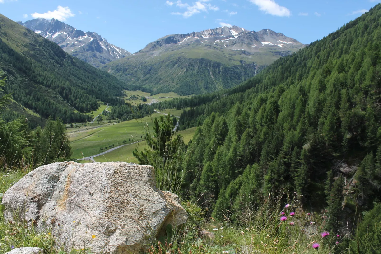 Baitin da Federia Due-Areas summer 5km