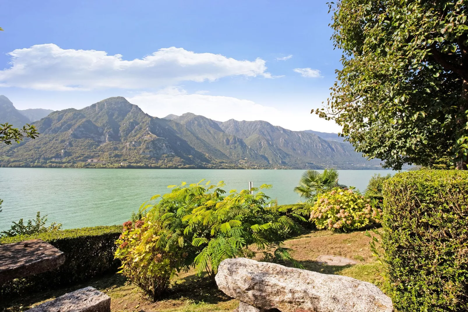 Fienile Regoli Due-View summer