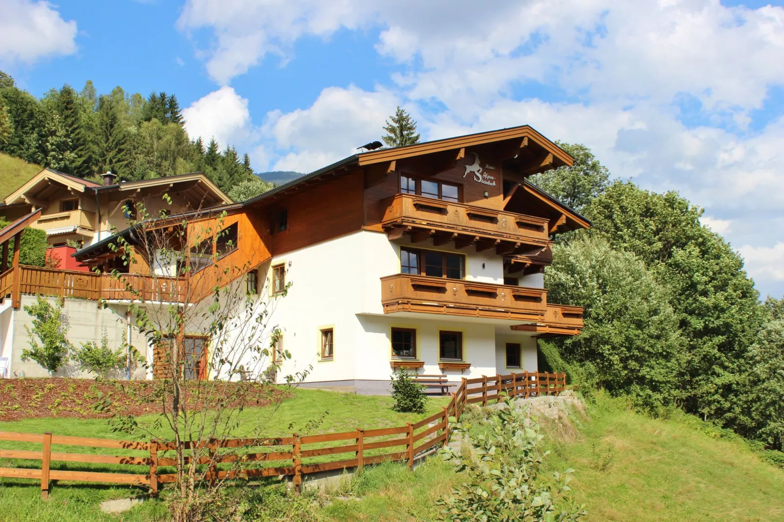 Alpensteinbock Saalbach A-Exterior summer