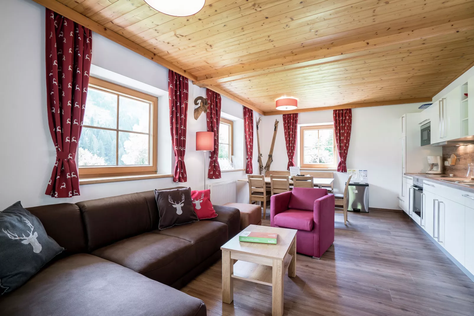 Alpensteinbock Saalbach B-Living room