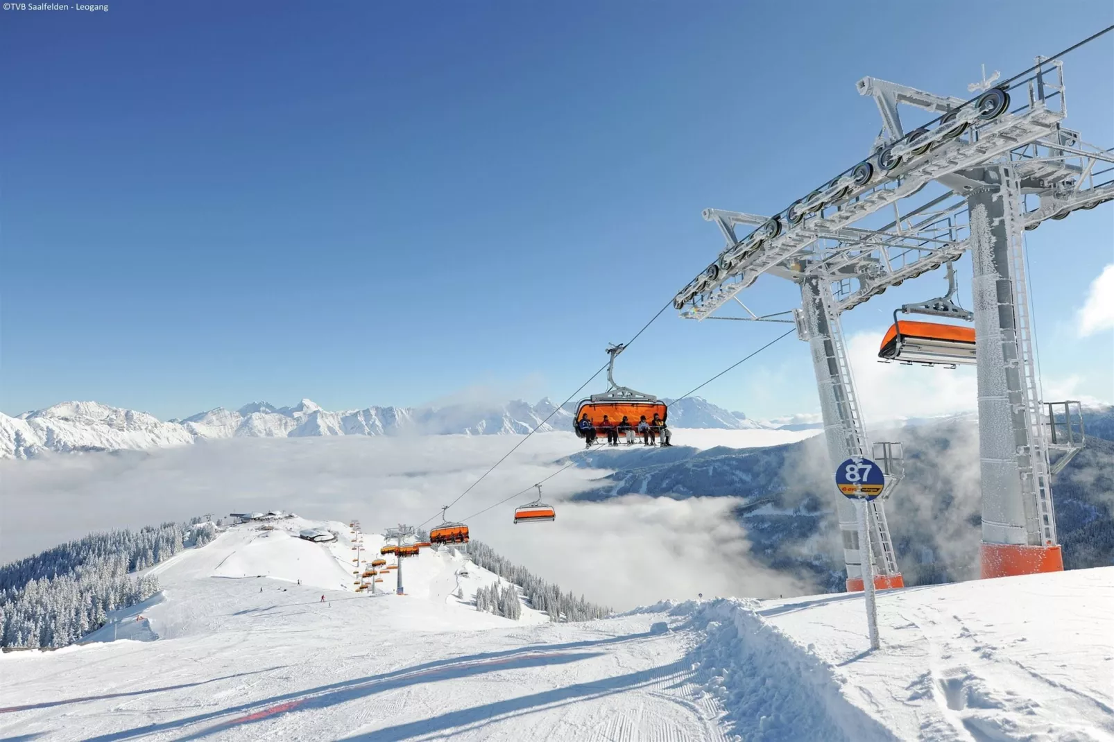 Alpensteinbock Saalbach B-Area winter 5km
