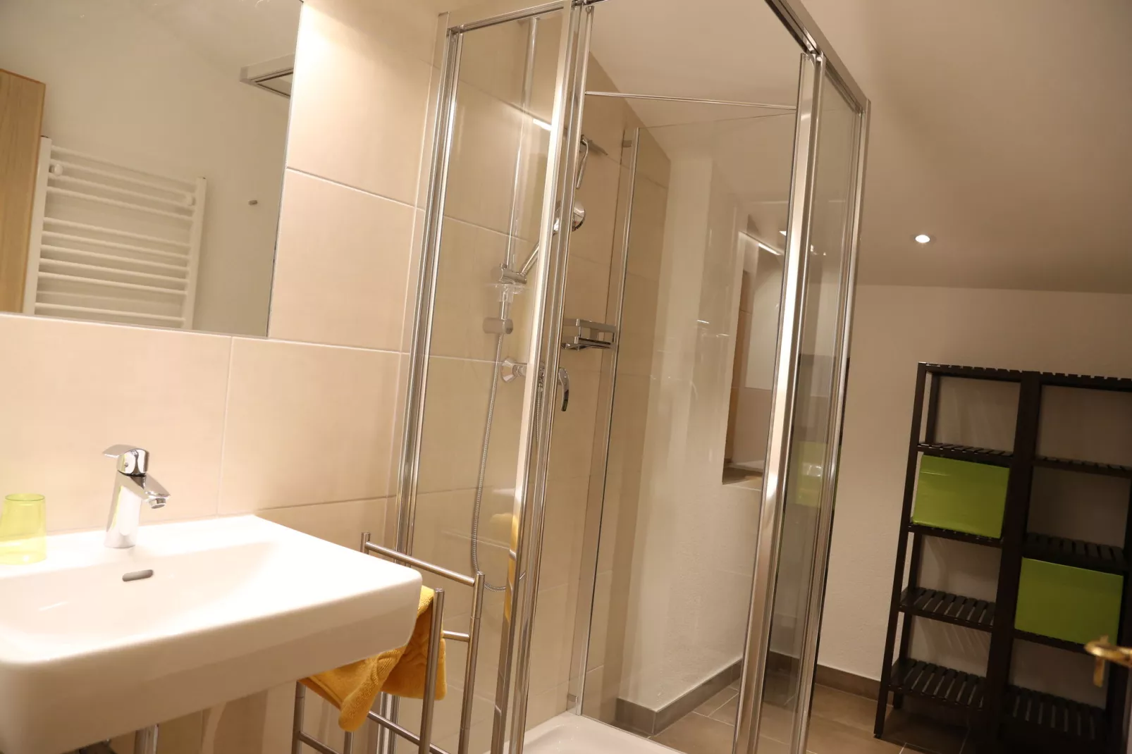 Alpensteinbock Saalbach C-Bathroom